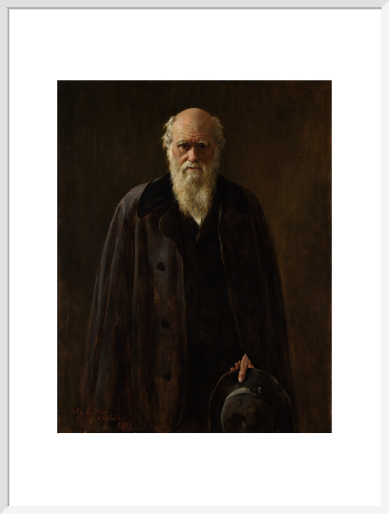 Charles darwin portrait print (art print, extra large, white frame frame)