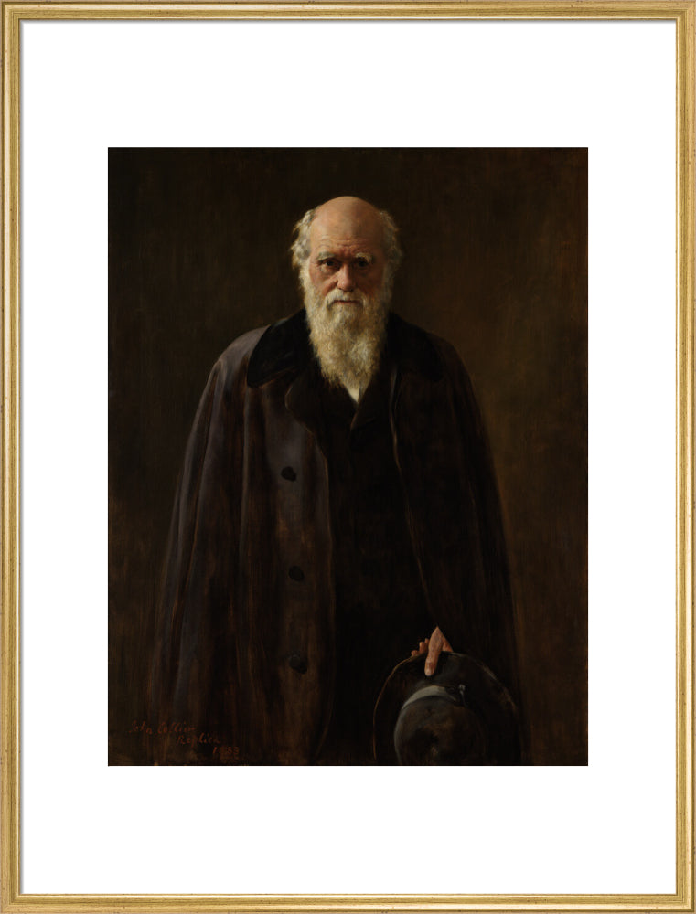 Charles darwin portrait print (art print, extra large, gold frame frame)