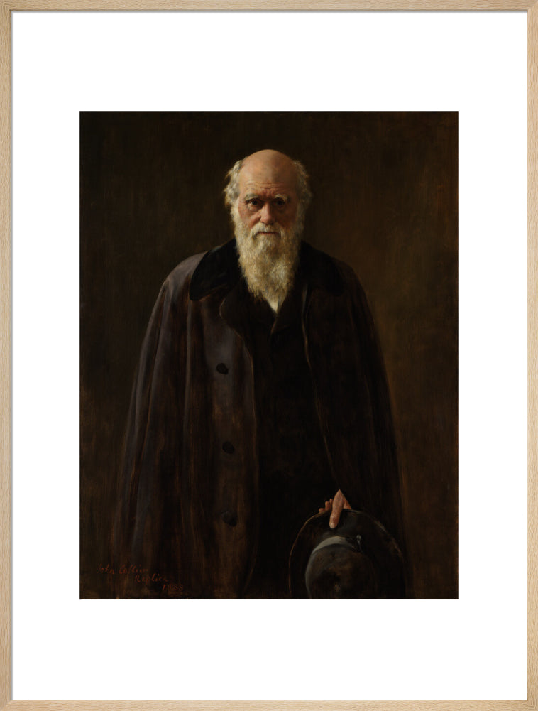 Charles darwin portrait print (art print, extra large, natural frame frame)