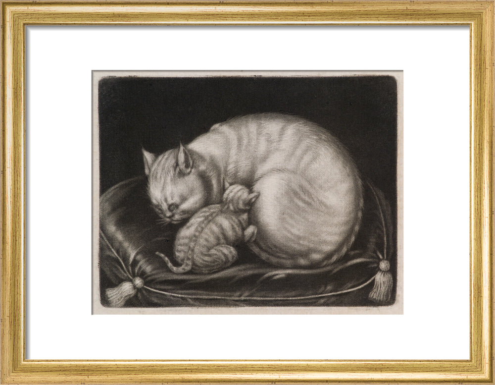 Si 1051686_ihcm 22.00_iwcm 28.13_fls 880242l.tif_fts 880242t.tif_mc ffffff_fwcm 2.30_tmwcm 4.00_bmwcm 4.00_lmwcm 5.94_rmwcm 5.94_maxdim 1000_en_external___iar 1