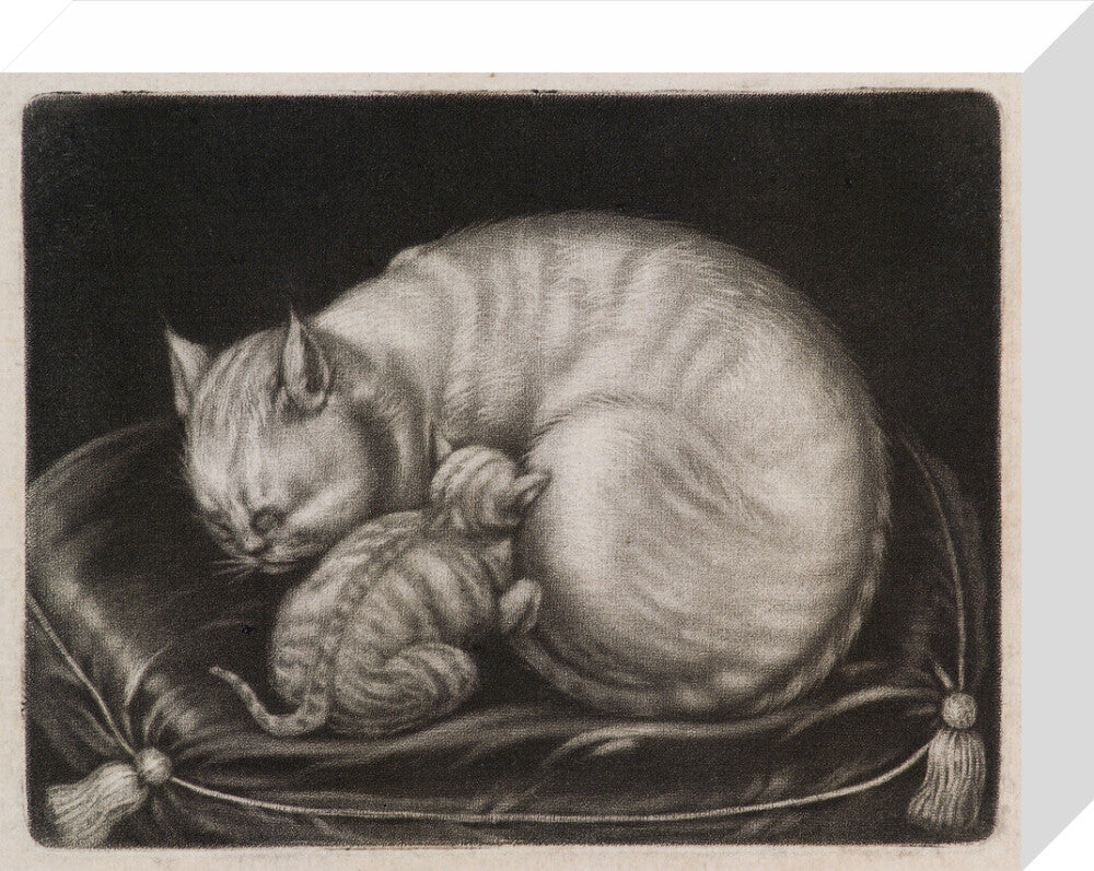 Cat and kitten portrait print (stretched canvas, small, no frame frame)