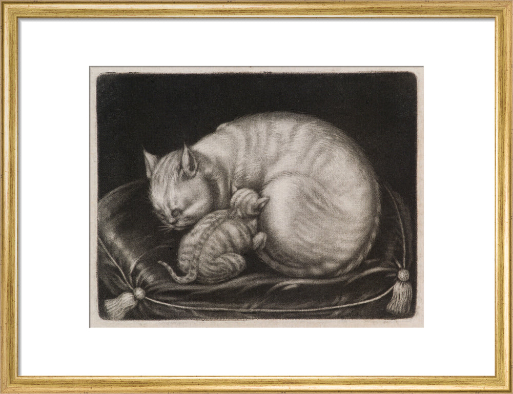 Si 1051686_ihcm 33.00_iwcm 42.19_fls 880242l.tif_fts 880242t.tif_mc ffffff_fwcm 2.30_tmwcm 6.00_bmwcm 6.00_lmwcm 8.90_rmwcm 8.90_maxdim 1000_en_external___iar 1