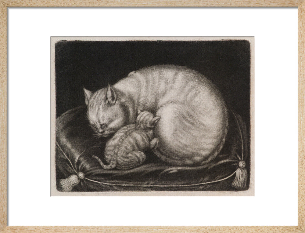 Si 1051686_ihcm 33.00_iwcm 42.19_fls 880600l.tif_fts 880600t.tif_mc ffffff_fwcm 1.50_tmwcm 6.00_bmwcm 6.00_lmwcm 8.90_rmwcm 8.90_maxdim 1000_en_external___iar 1