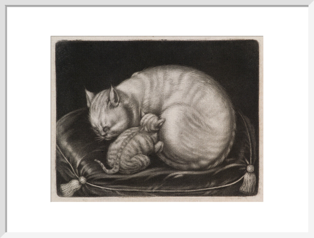 Si 1051686_ihcm 44.00_iwcm 56.26_fls 880231l.tif_fts 880231t.tif_mc ffffff_fwcm 1.50_tmwcm 8.00_bmwcm 8.00_lmwcm 11.87_rmwcm 11.87_maxdim 1000_en_external___iar 1