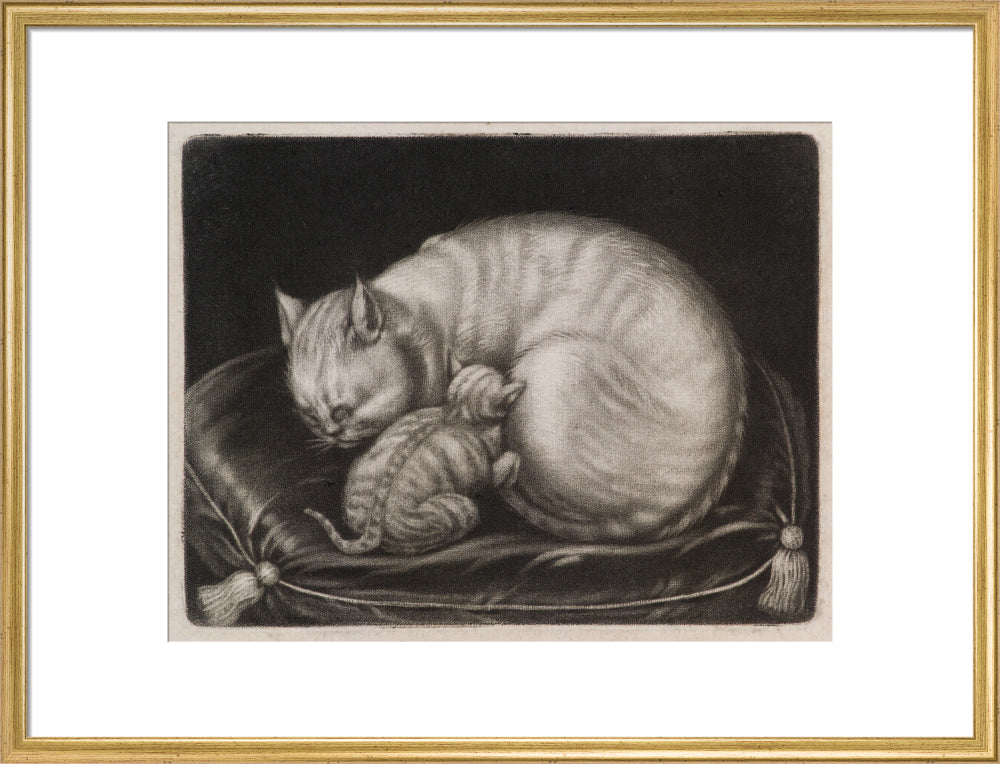 Si 1051686_ihcm 44.00_iwcm 56.26_fls 880242l.tif_fts 880242t.tif_mc ffffff_fwcm 2.30_tmwcm 8.00_bmwcm 8.00_lmwcm 11.87_rmwcm 11.87_maxdim 1000_en_external___iar 1