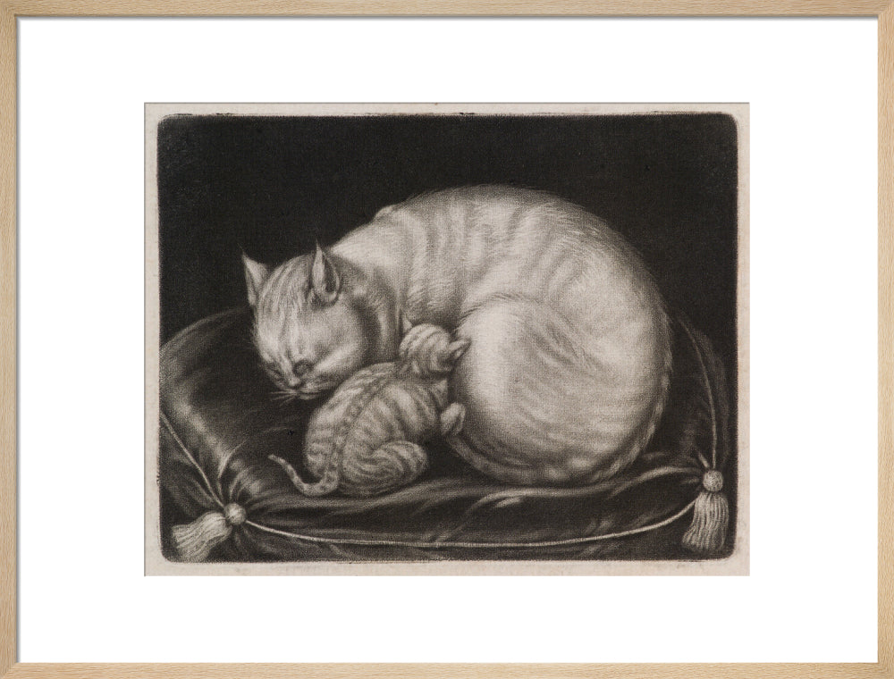 Si 1051686_ihcm 44.00_iwcm 56.26_fls 880600l.tif_fts 880600t.tif_mc ffffff_fwcm 1.50_tmwcm 8.00_bmwcm 8.00_lmwcm 11.87_rmwcm 11.87_maxdim 1000_en_external___iar 1