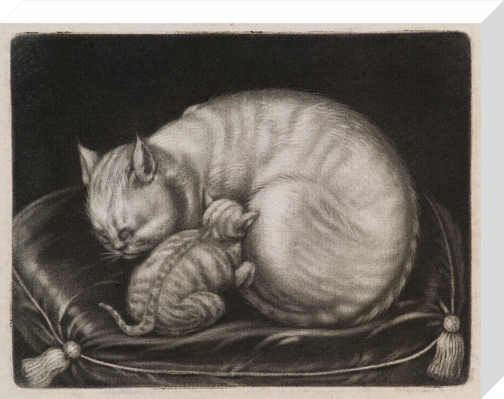 Cat and kitten portrait print (stretched canvas, medium, no frame frame)