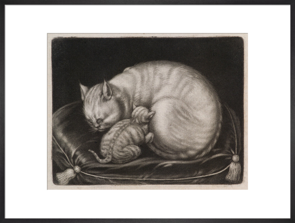 Si 1051686_ihcm 55.00_iwcm 70.32_fls 880229l.tif_fts 880229t.tif_mc ffffff_fwcm 1.60_tmwcm 10.00_bmwcm 10.00_lmwcm 14.84_rmwcm 14.84_maxdim 1000_en_external___iar 1