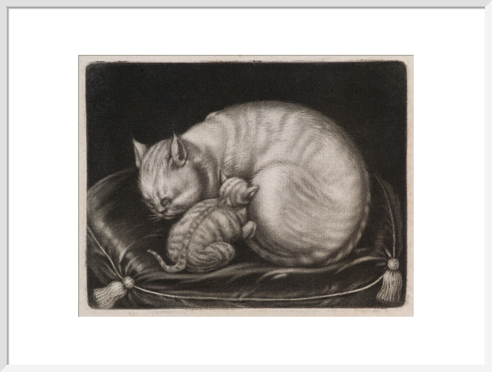 Si 1051686_ihcm 55.00_iwcm 70.32_fls 880231l.tif_fts 880231t.tif_mc ffffff_fwcm 1.50_tmwcm 10.00_bmwcm 10.00_lmwcm 14.84_rmwcm 14.84_maxdim 1000_en_external___iar 1