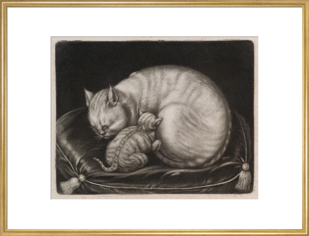 Si 1051686_ihcm 55.00_iwcm 70.32_fls 880242l.tif_fts 880242t.tif_mc ffffff_fwcm 2.30_tmwcm 10.00_bmwcm 10.00_lmwcm 14.84_rmwcm 14.84_maxdim 1000_en_external___iar 1