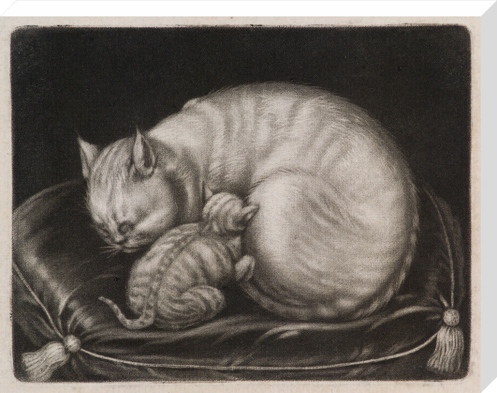 Cat and kitten portrait print (stretched canvas, large, no frame frame)