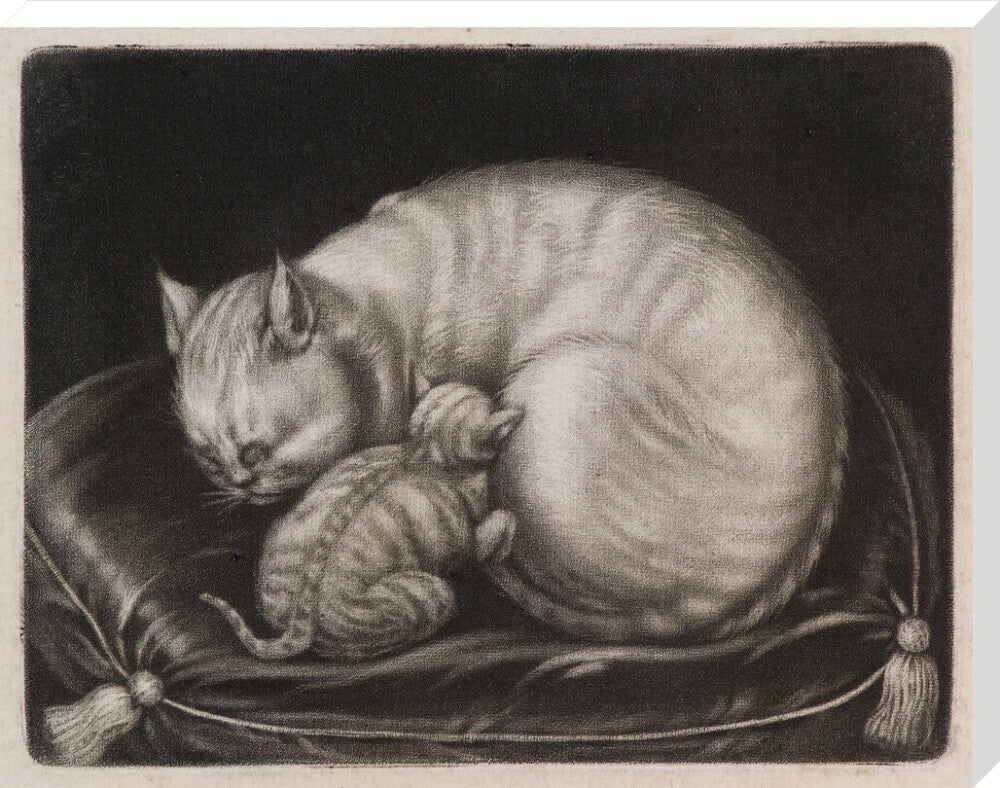 Cat and kitten portrait print (stretched canvas, extra large, no frame frame)