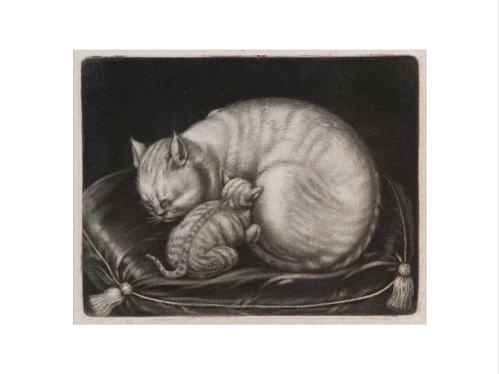 Cat and kitten portrait print (art print, extra large, no frame frame)