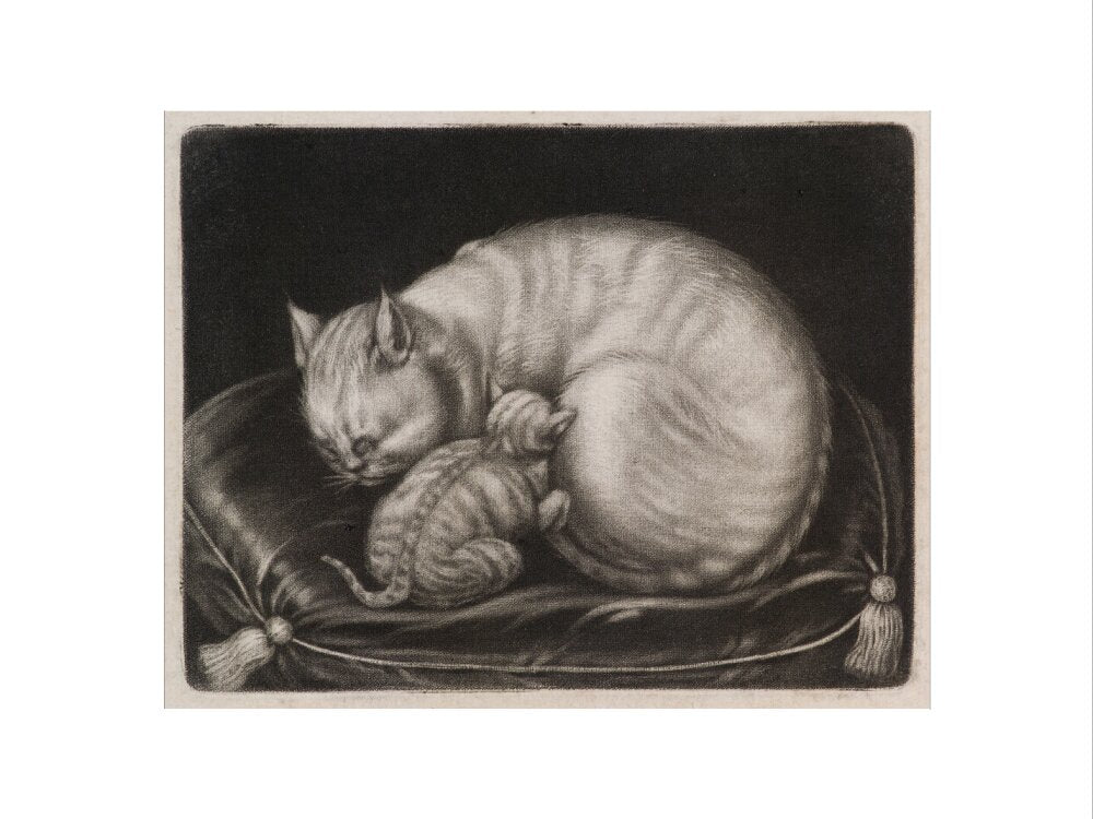 Cat and kitten portrait print (art print, small, no frame frame)