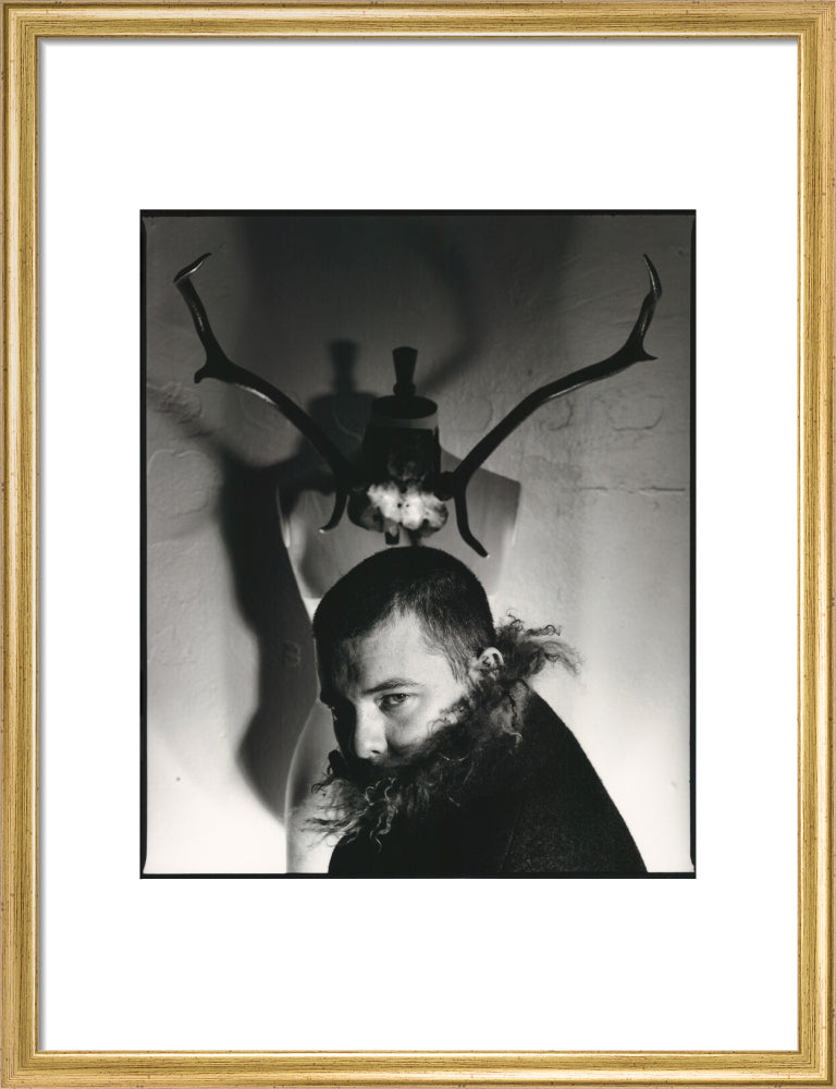 Alexander mcqueen portrait print (art print, medium, gold frame frame)