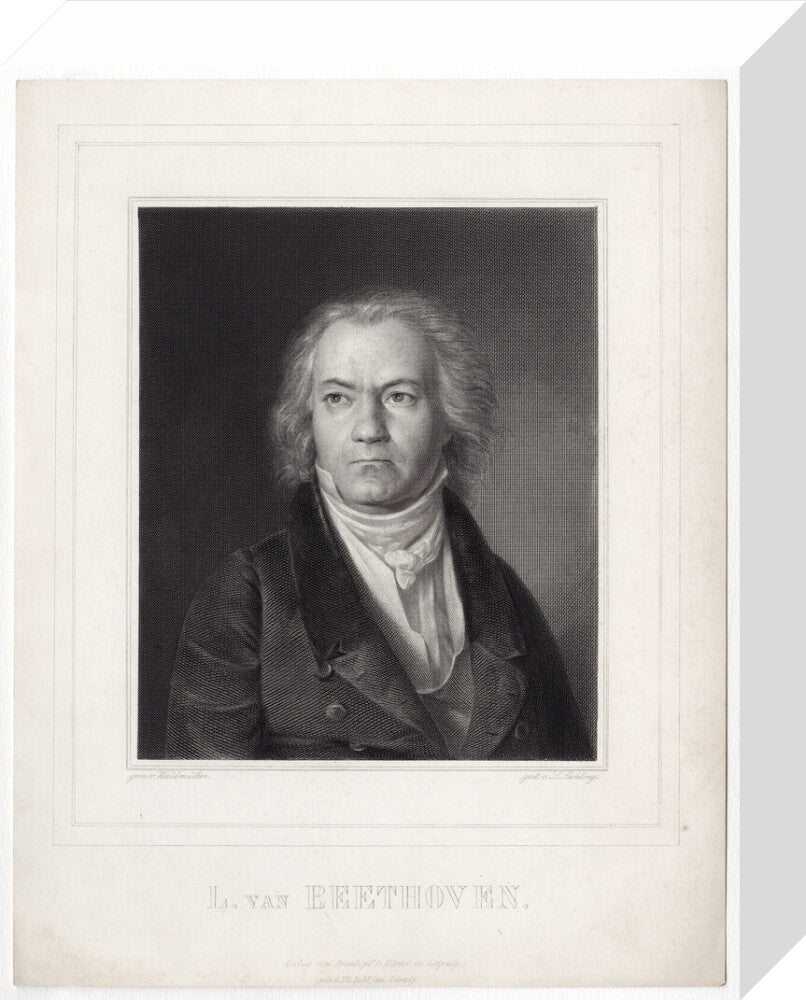 Ludwig van beethoven portrait print (stretched canvas, small, no frame)