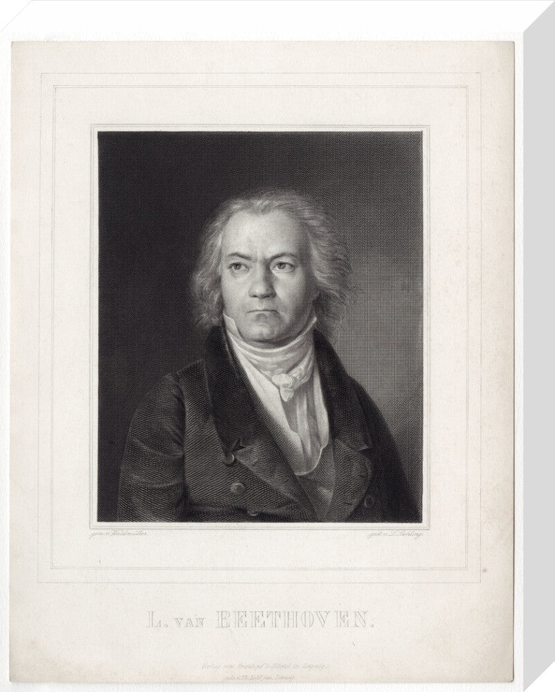 Ludwig van beethoven portrait print (stretched canvas, medium, no frame)