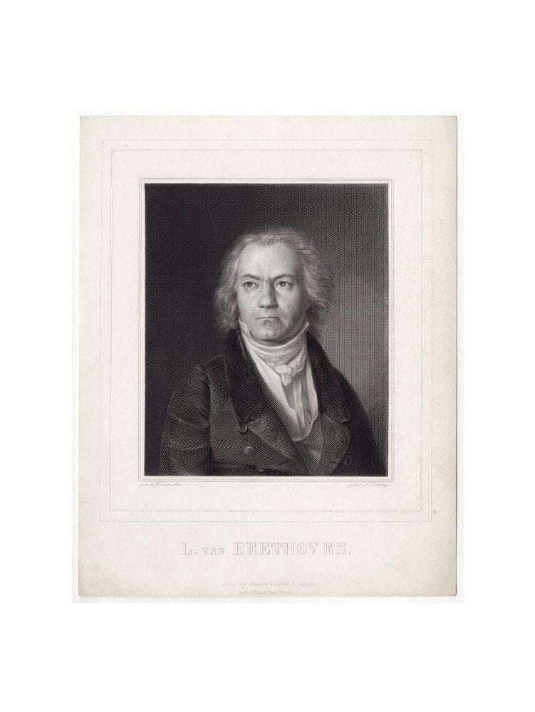 Ludwig van beethoven portrait print (art print, large, no frame)