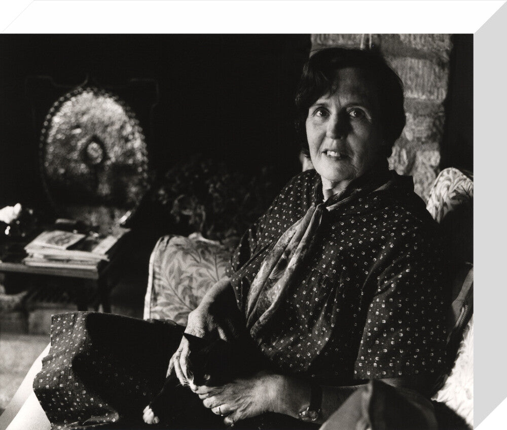 Barbara pym portrait print (stretched canvas, small, no frame frame)