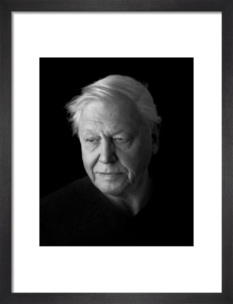 Sir david attenborough portrait print (art print, small, black frame)