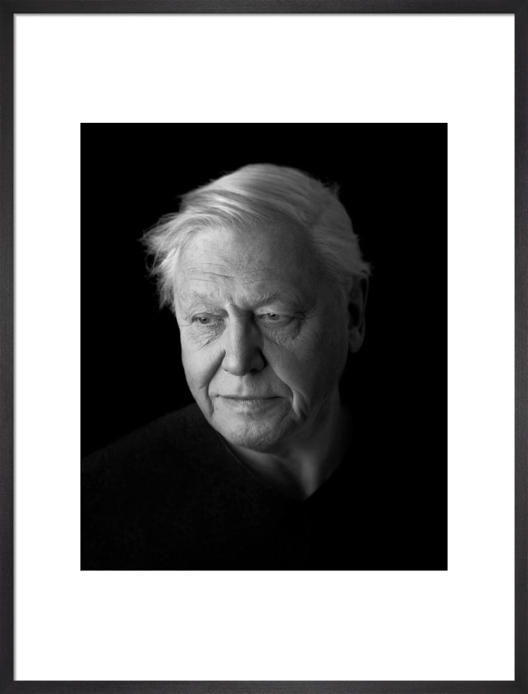 Sir david attenborough portrait print (art print, large, black frame)