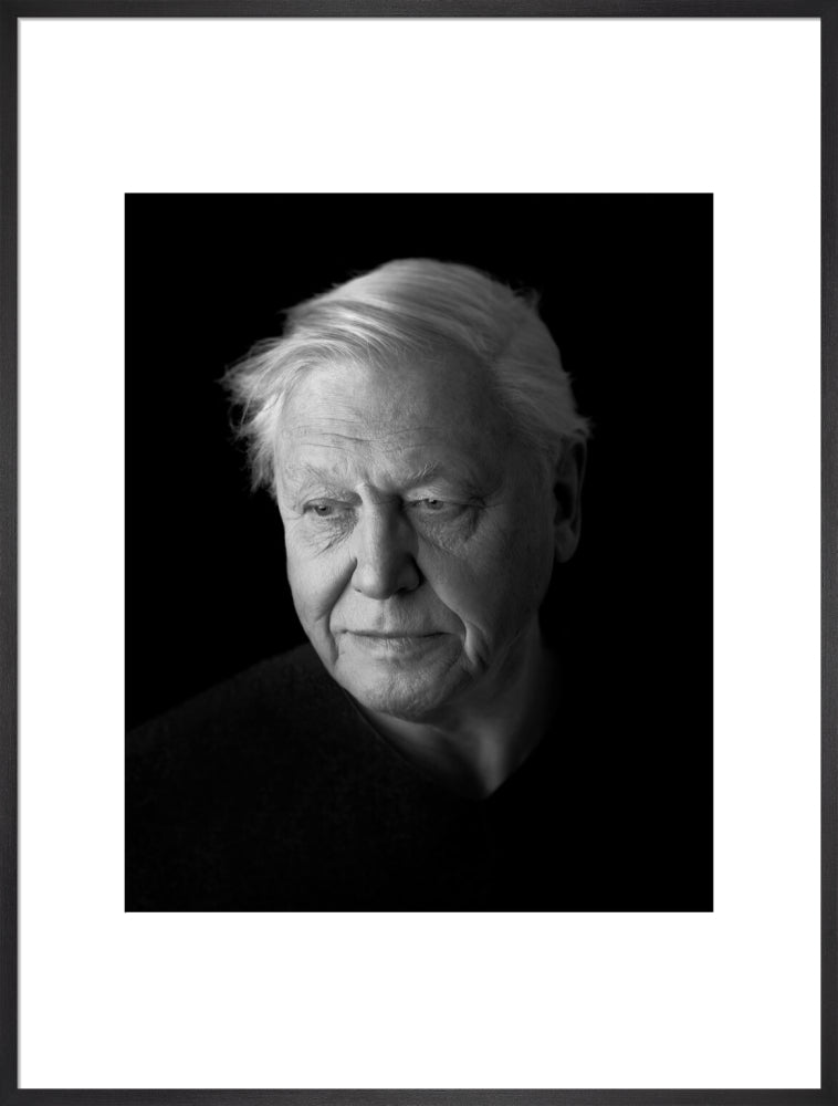 Sir david attenborough portrait print (art print, extra large, black frame)
