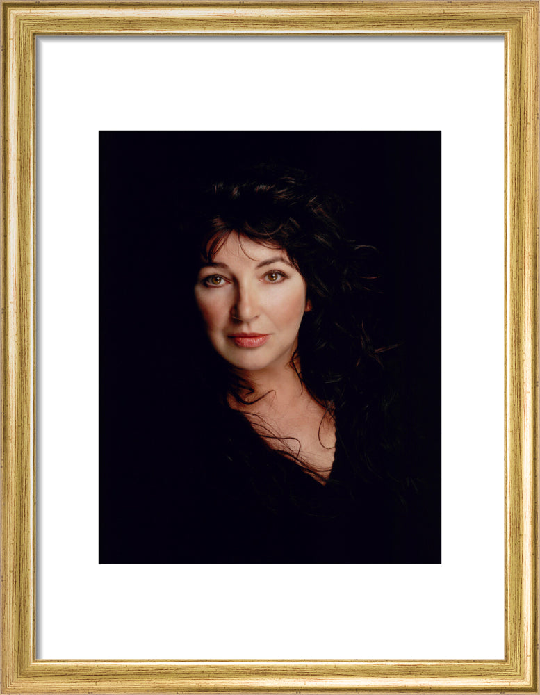Kate bush portrait print (art print, small, gold frame)