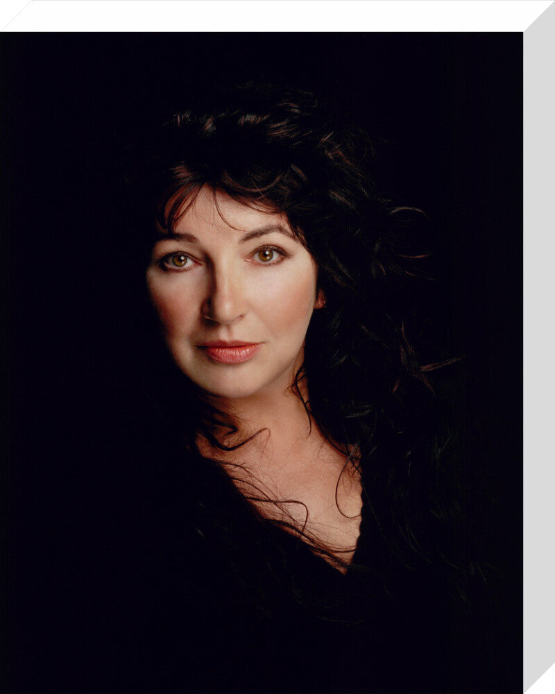 Kate bush portrait print (stretched canvas, medium, no frame)