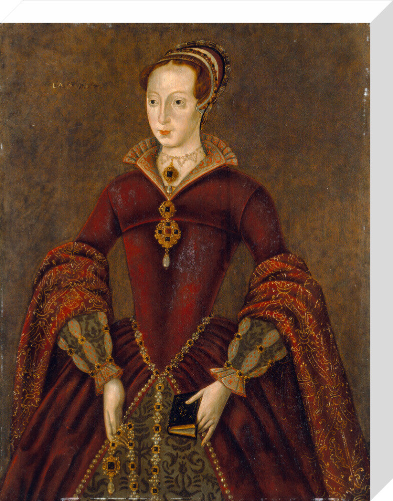 Lady jane grey portrait print (stretched canvas, medium, no frame)