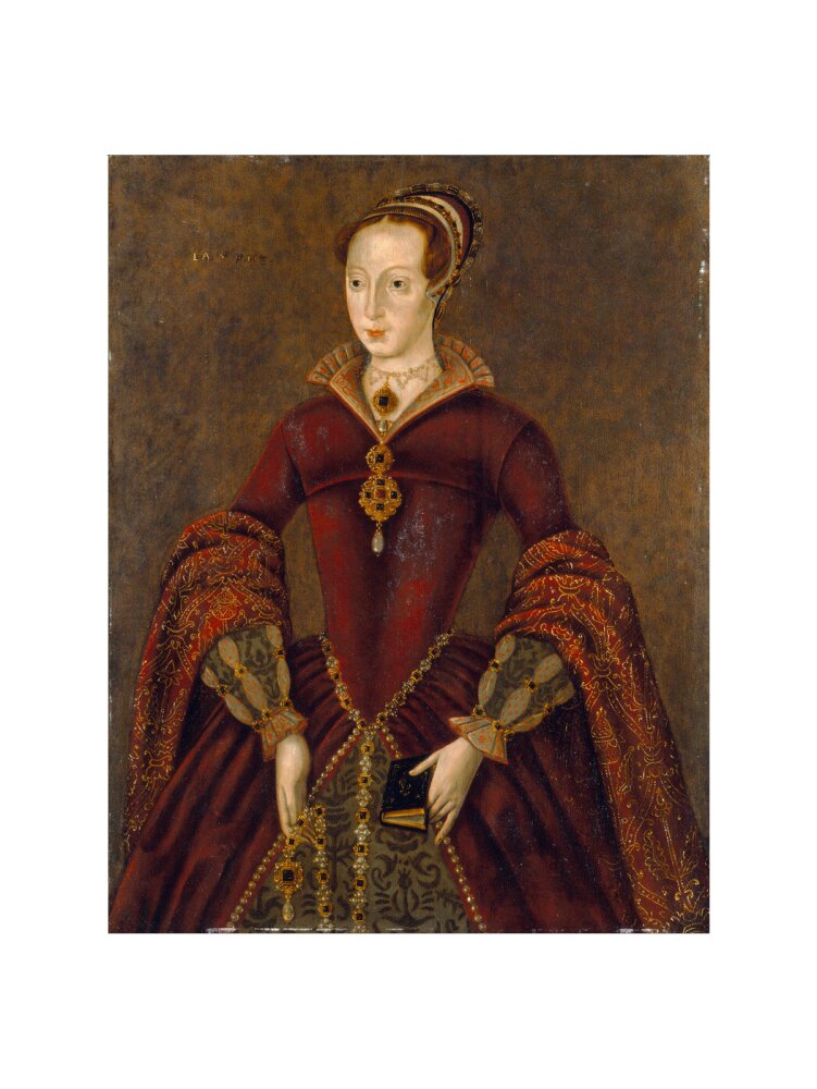 Lady jane grey portrait print (art print, medium, no frame)