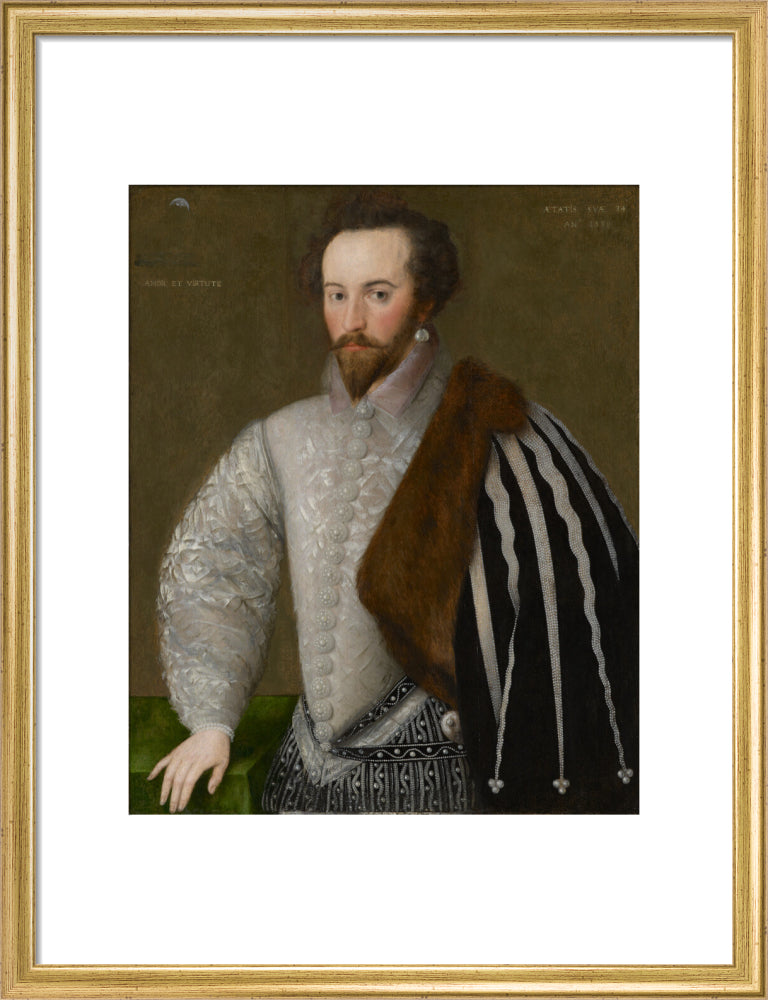 Sir walter ralegh (raleigh) portrait print (art print, medium, gold frame)