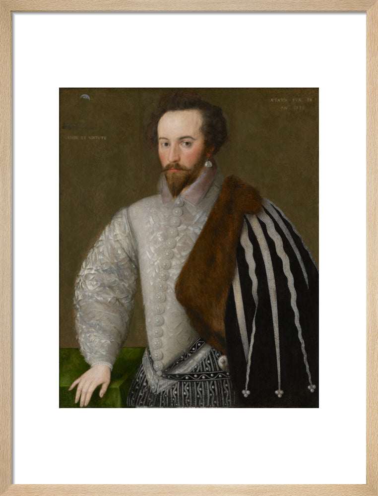 Sir walter ralegh (raleigh) portrait print (art print, medium, natural frame)