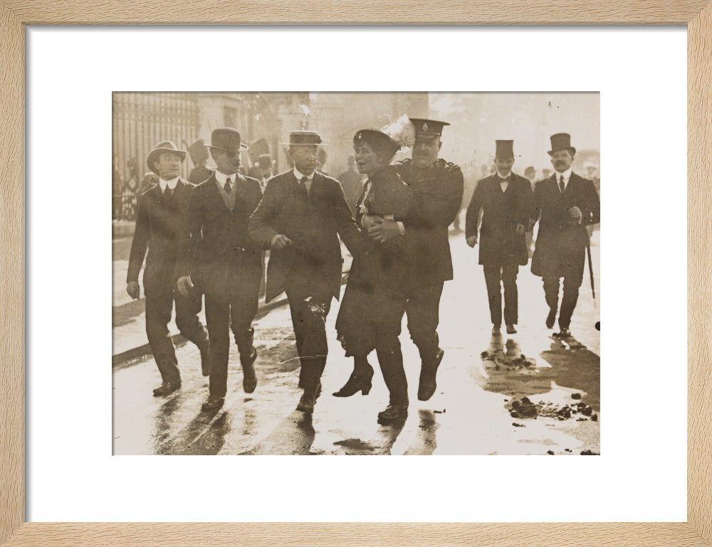 Emmeline pankhurst's arrest at buckingham palace portrait print (art print, small, natural frame)
