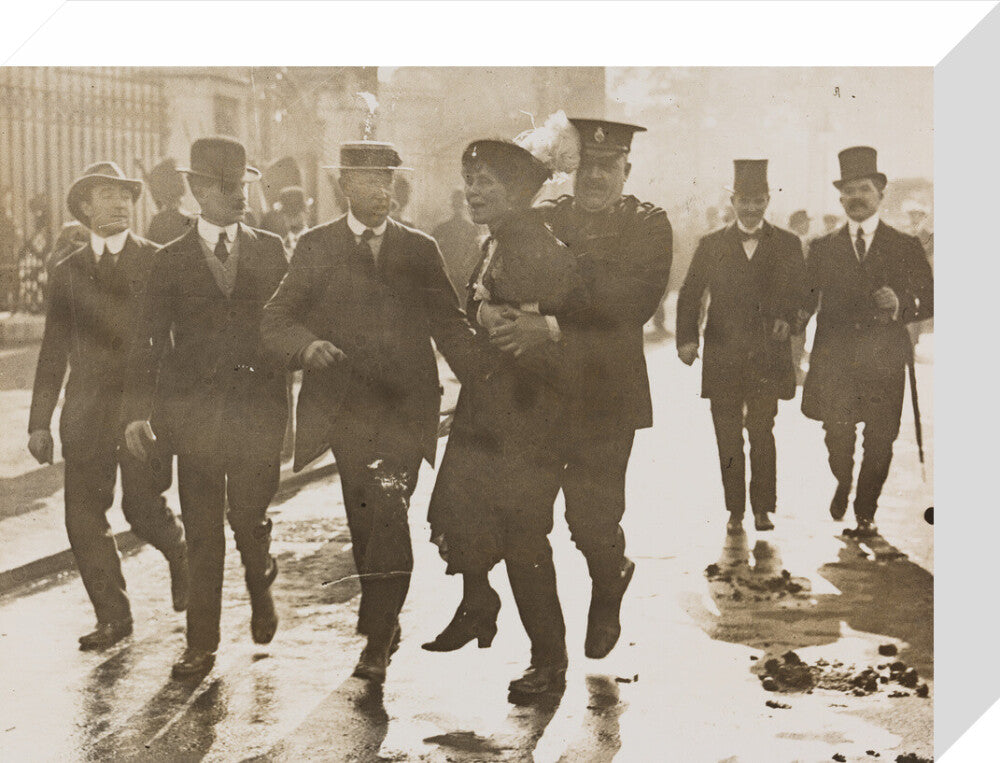 Emmeline pankhurst's arrest at buckingham palace portrait print (stretched canvas, small, no frame)