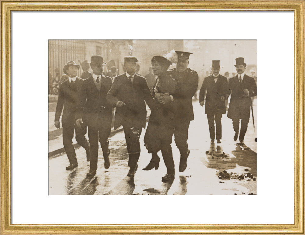 Emmeline pankhurst's arrest at buckingham palace portrait print (art print, medium, gold frame)