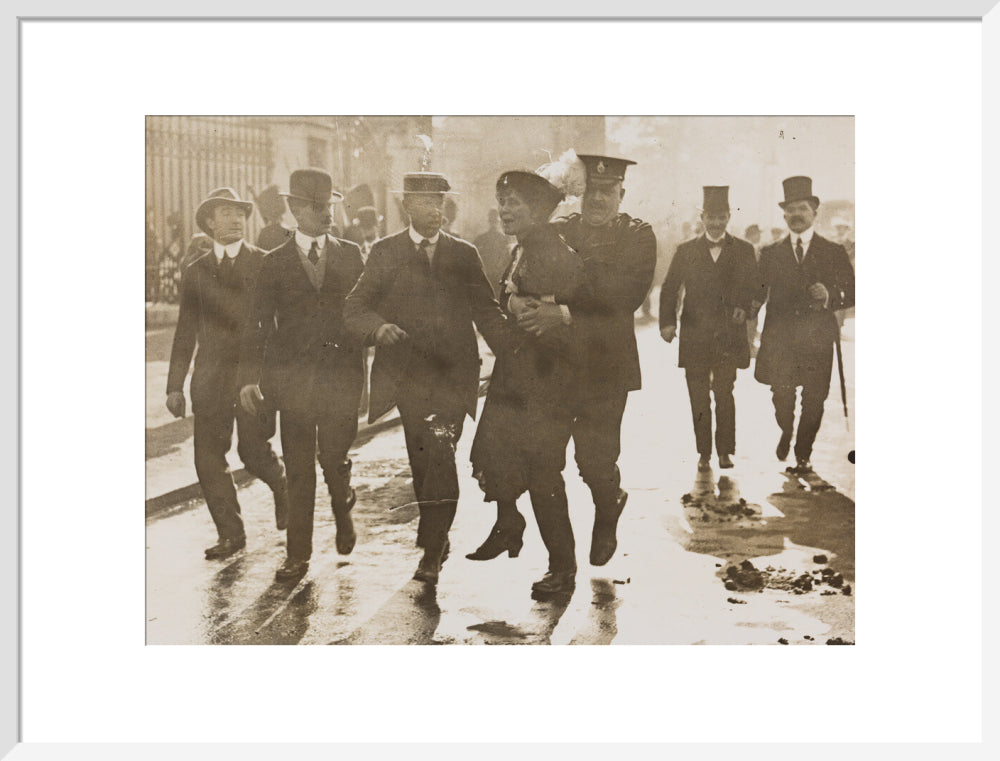 Emmeline pankhurst's arrest at buckingham palace portrait print (art print, large, white frame)