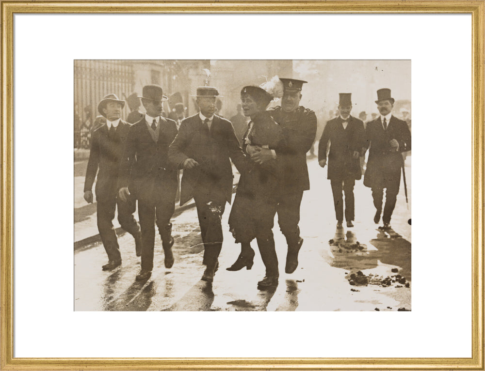 Emmeline pankhurst's arrest at buckingham palace portrait print (art print, large, gold frame)