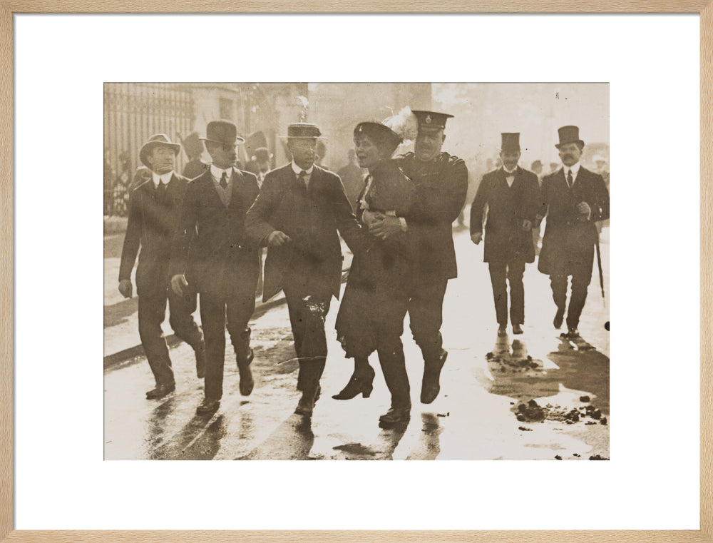 Emmeline pankhurst's arrest at buckingham palace portrait print (art print, large, natural frame)
