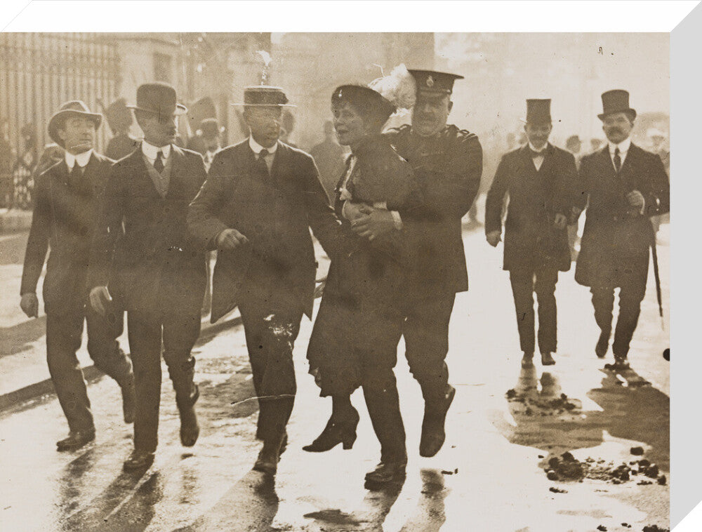 Emmeline pankhurst's arrest at buckingham palace portrait print (stretched canvas, medium, no frame)