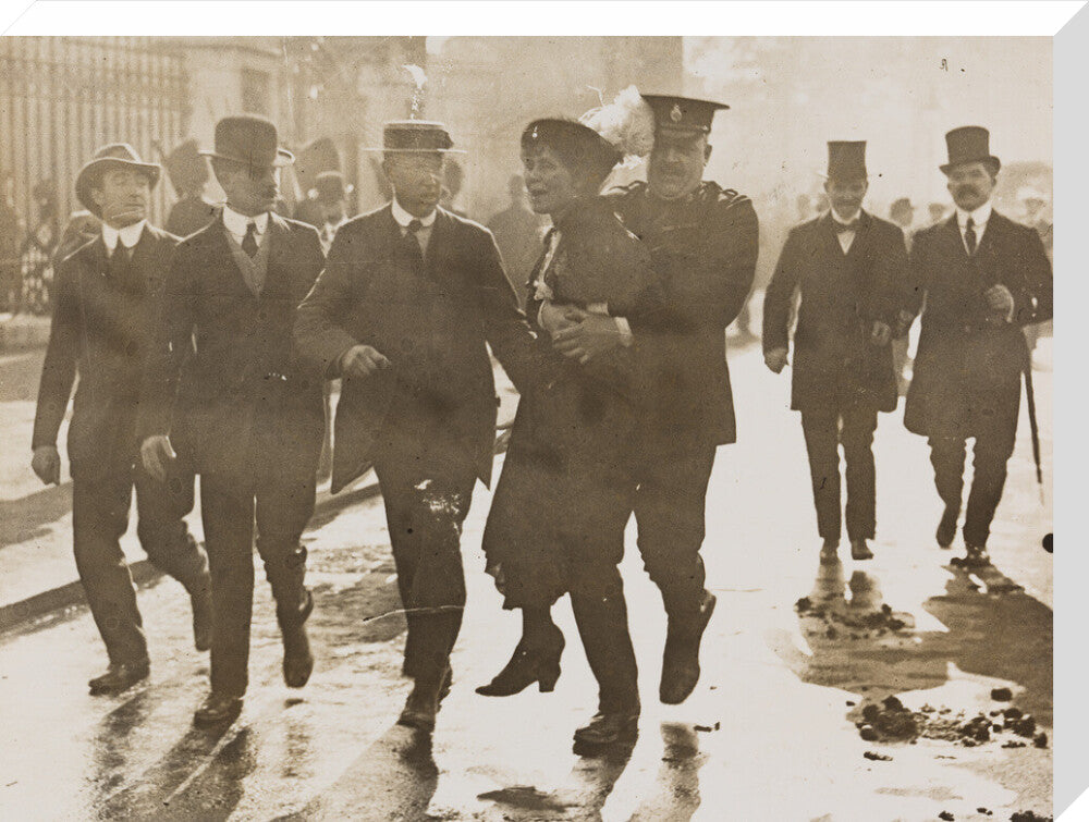 Emmeline pankhurst's arrest at buckingham palace portrait print (stretched canvas, large, no frame)