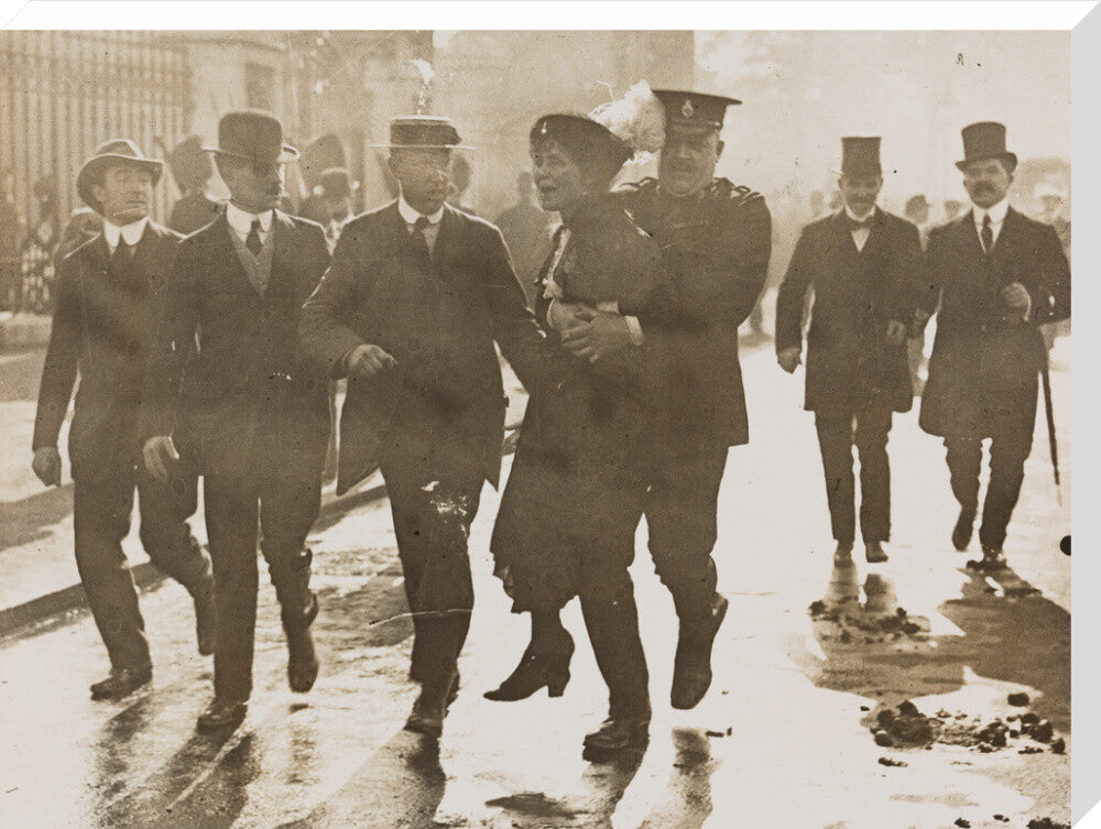Emmeline pankhurst's arrest at buckingham palace portrait print (stretched canvas, extra large, no frame)
