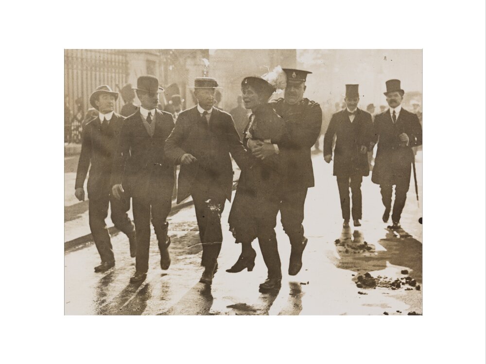 Emmeline pankhurst's arrest at buckingham palace portrait print (art print, small, no frame)