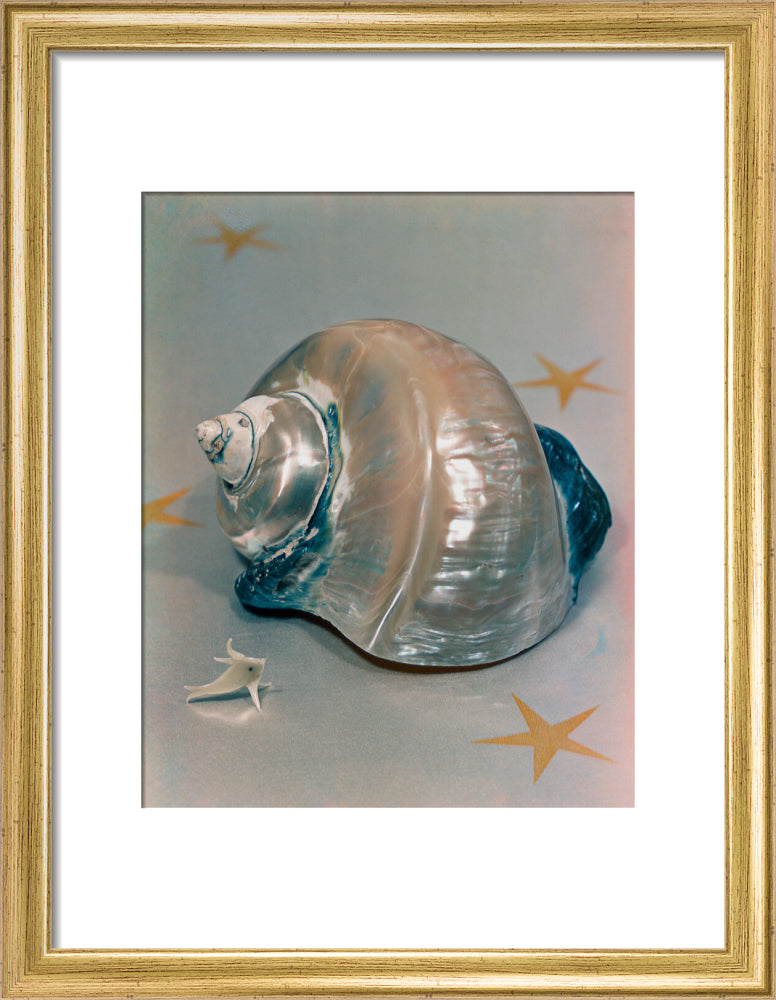 Shell portrait print (art print, small, gold frame)