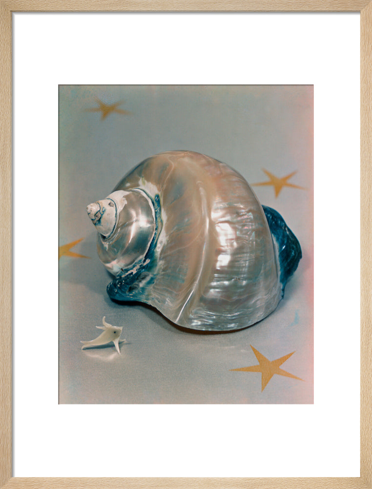 Shell portrait print (art print, medium, natural frame)