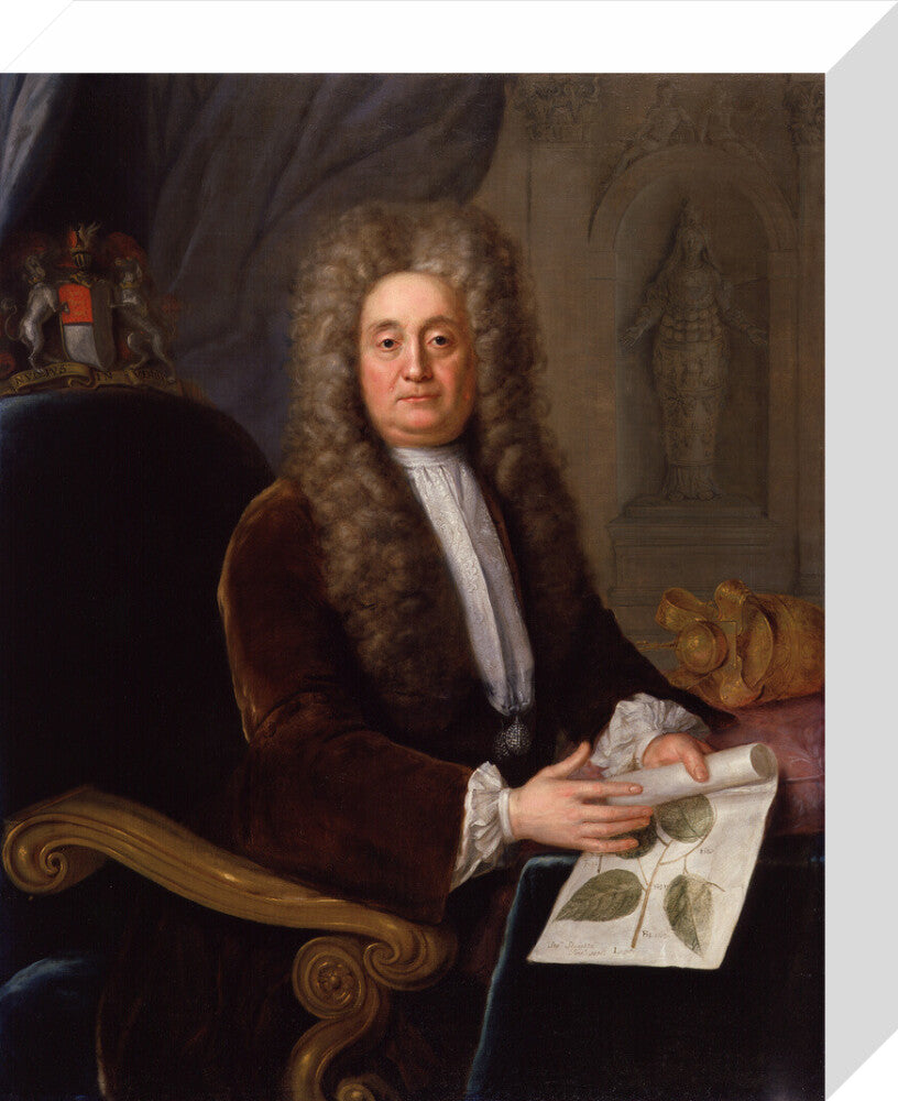 Sir hans sloane, bt portrait print (stretched canvas, small, no frame)