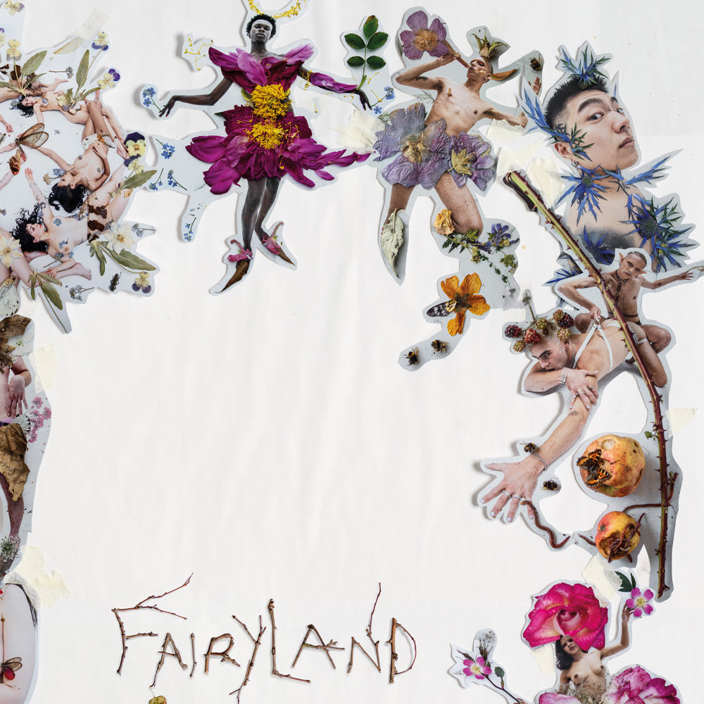 Tim walkers fairy collage a2 poster detail