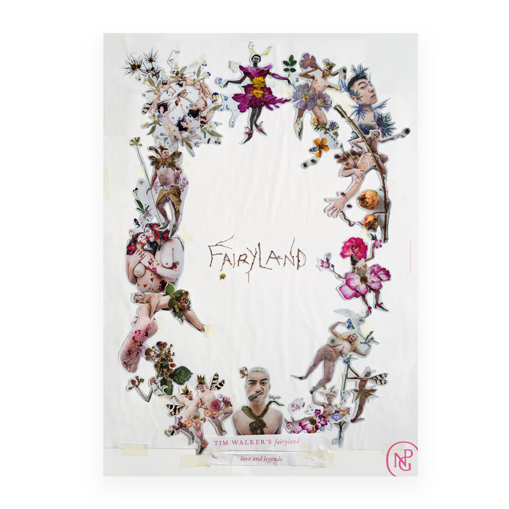 Tim walkers fairy collage a2 poster