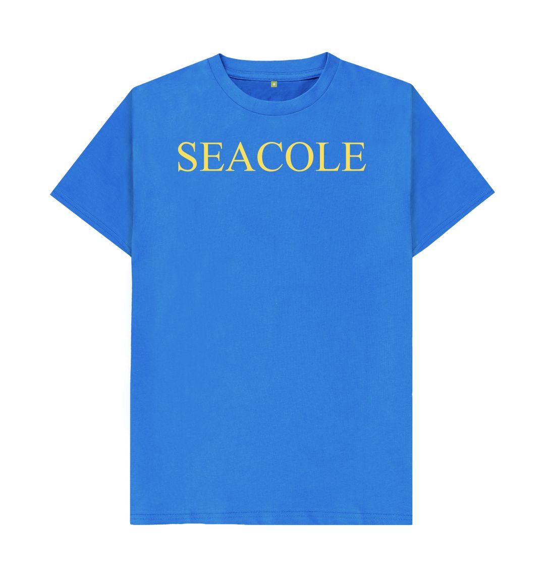 Bright blue seacole t shirt
