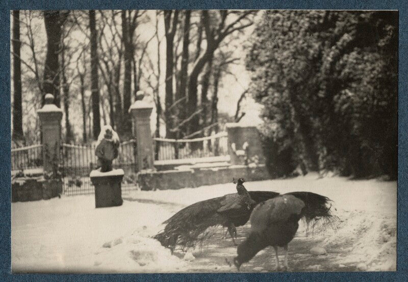 'garsington' npg ax142449