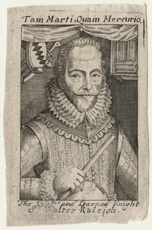 Sir walter ralegh (raleigh) npg d21174